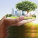 sustainability main page image