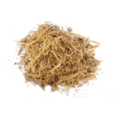 Bagasse-BLog-e1579865571464